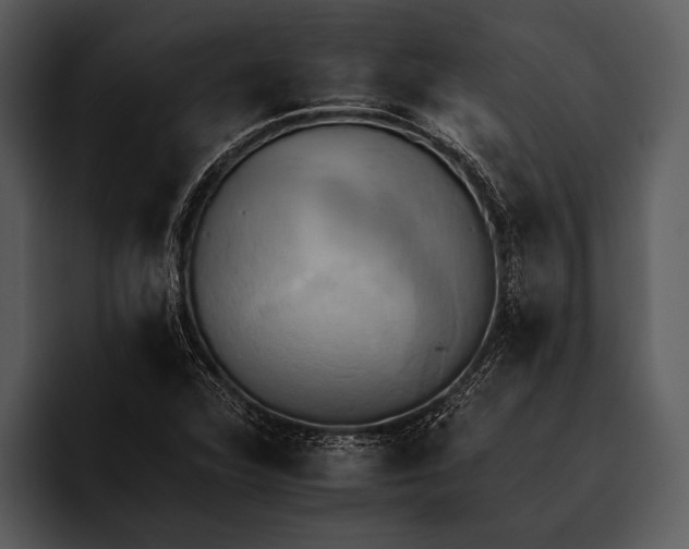 X0000095671360200801291128