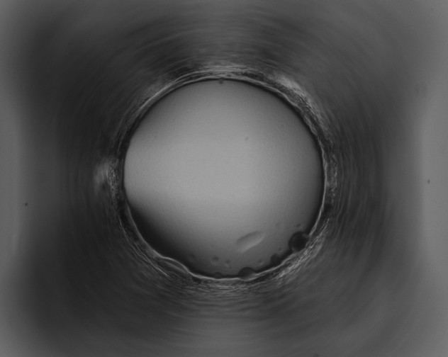 X0000095671361200801291128