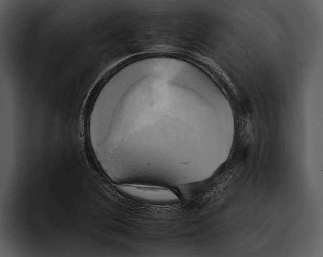 X0000095671364200801291128