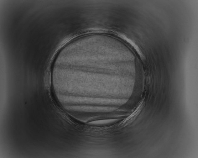 X0000095671365200801291128