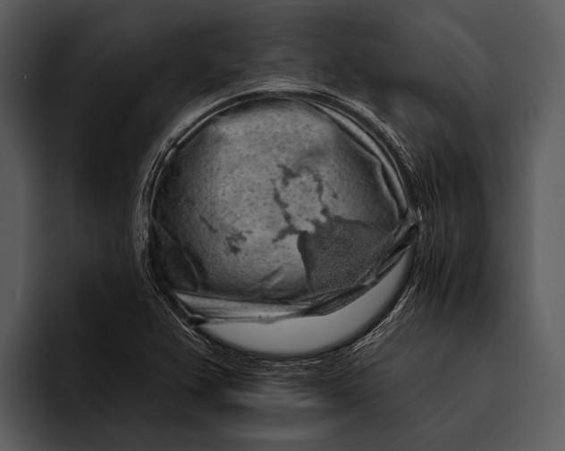 X0000095671367200801291128