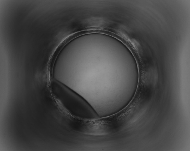 X0000095671368200801291128