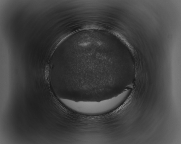 X0000095671369200801291128