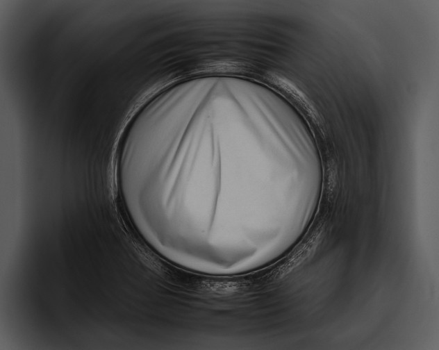 X0000095671370200801291128