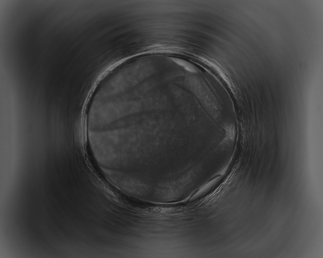 X0000095671371200801291128