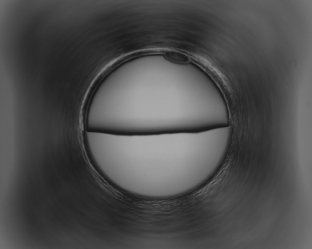 X0000095671372200801291128