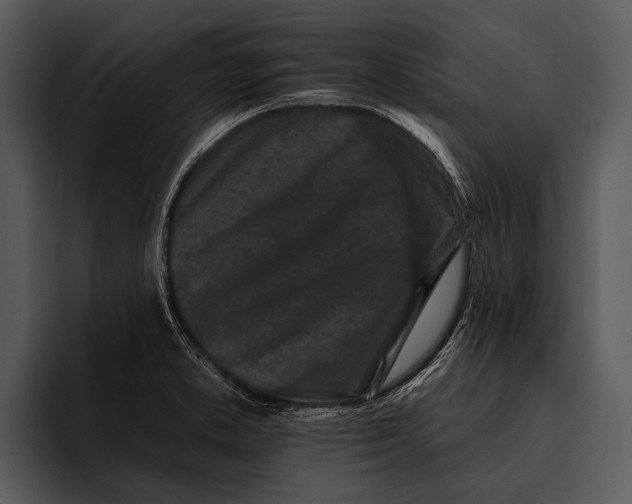 X0000095671373200801291128