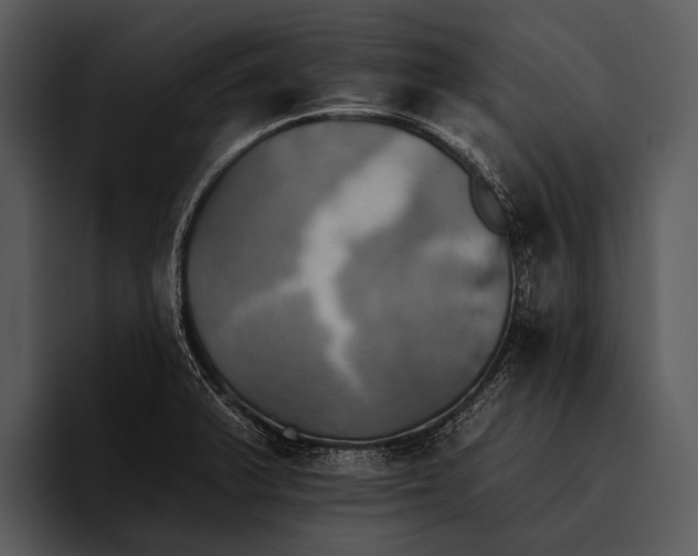 X0000095671375200801291128