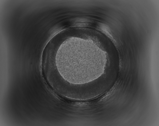 X0000095671378200801291128