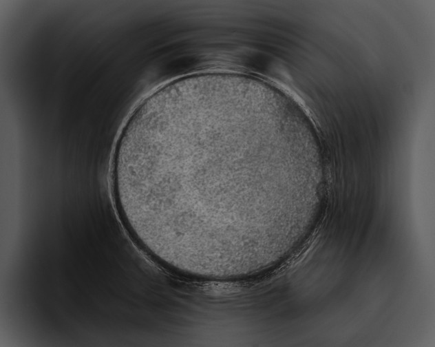 X0000095671379200801291128