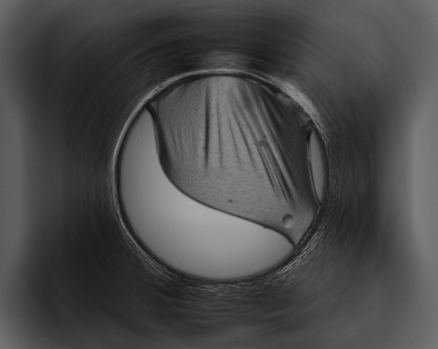 X0000095671380200801291128