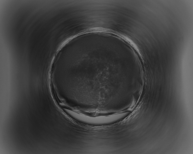 X0000095671381200801291128