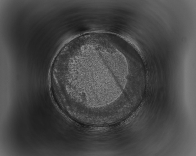 X0000095671382200801291128