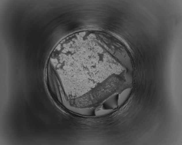 X0000095671383200801291128