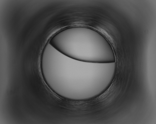 X0000095671384200801291128