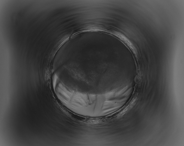 X0000095671385200801291128