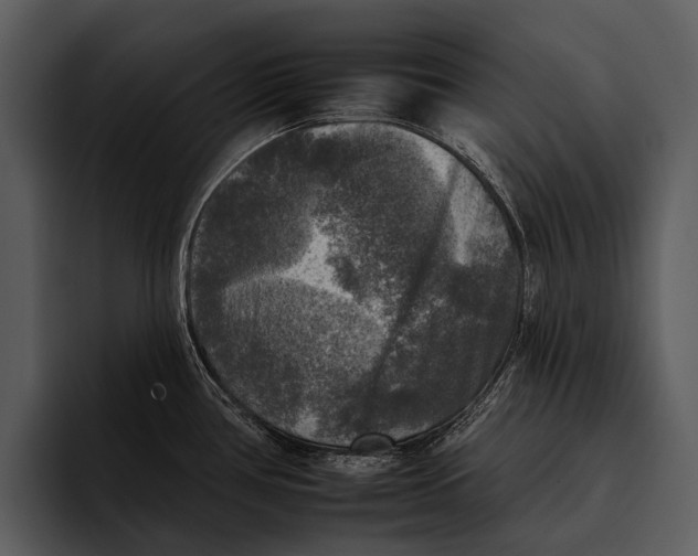 X0000095671386200801291128