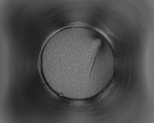 X0000095671387200801291128