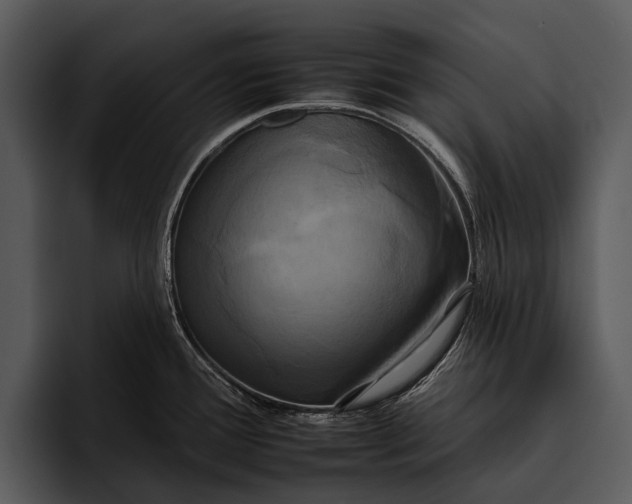 X0000095671388200801291128