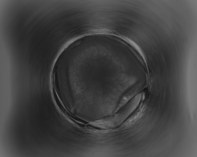 X0000095671389200801291128