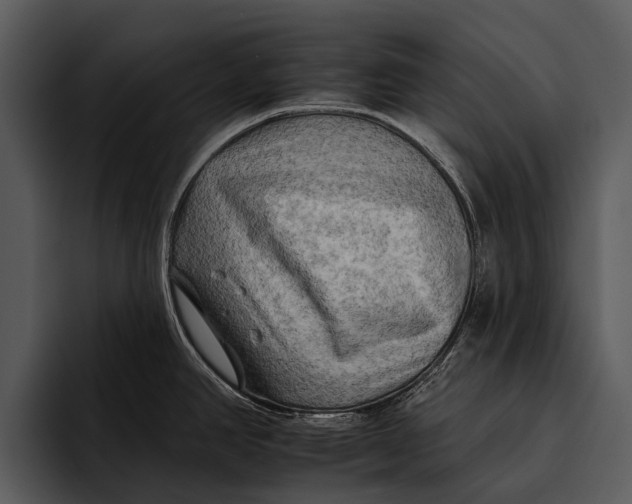 X0000095671390200801291128