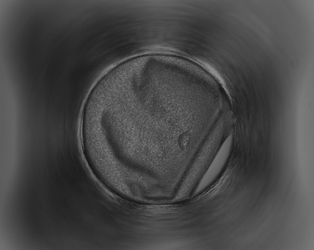 X0000095671391200801291128