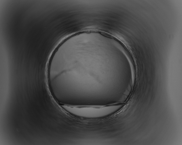 X0000095671392200801291128