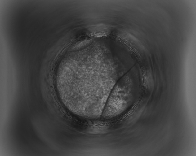 X0000095671393200801291127