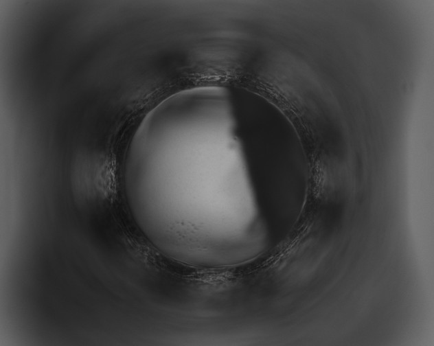 X0000095671394200801291127