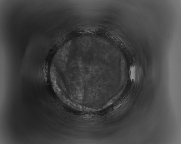 X0000095671395200801291127