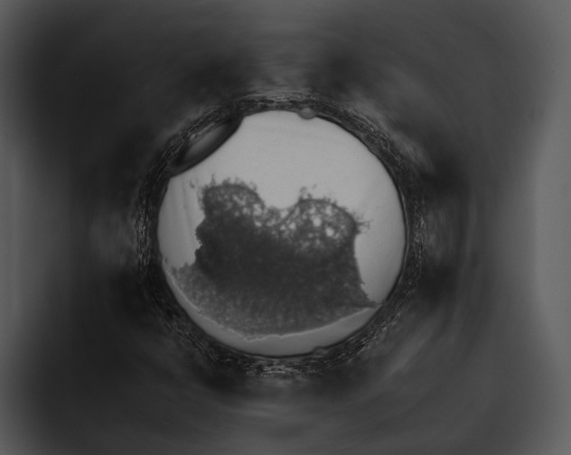 X0000095671398200801291127