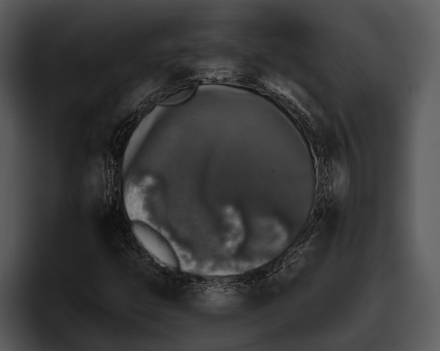 X0000095671399200801291127