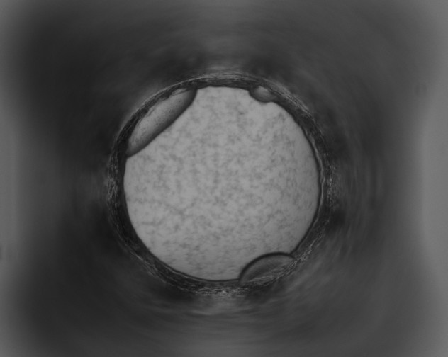 X0000095671400200801291127