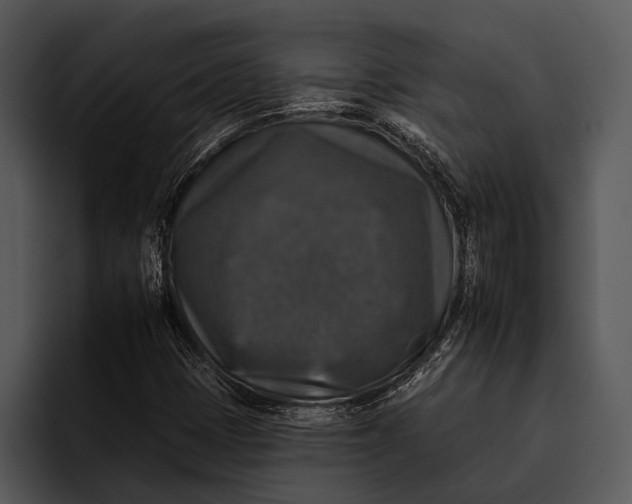 X0000095671401200801291127