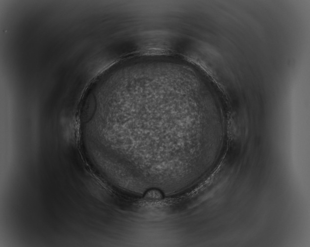 X0000095671402200801291127