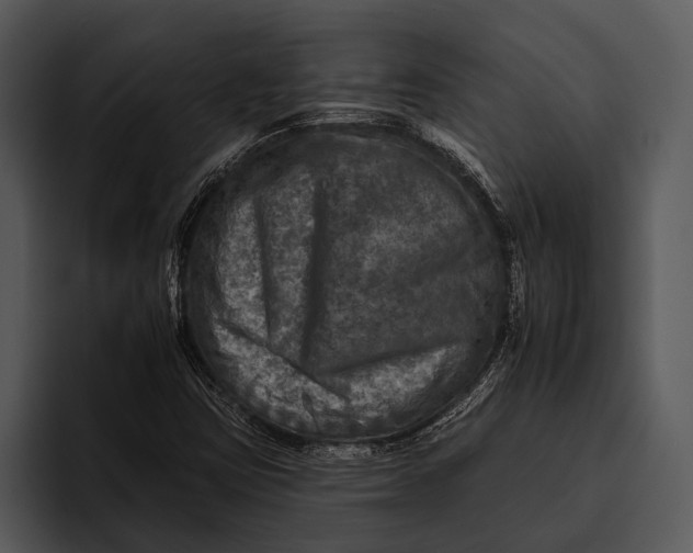 X0000095671403200801291127