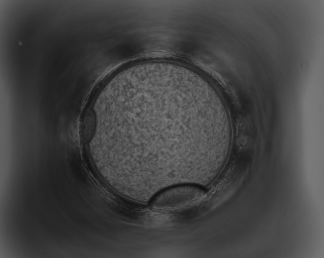 X0000095671404200801291127