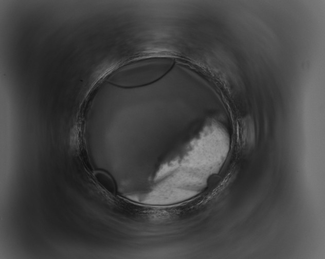 X0000095671405200801291127