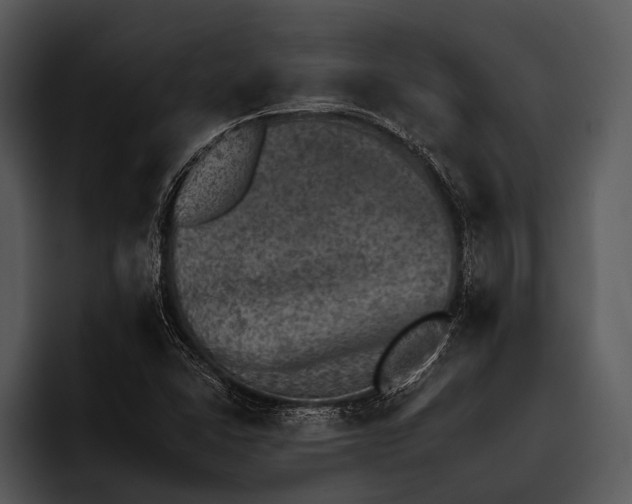 X0000095671406200801291127