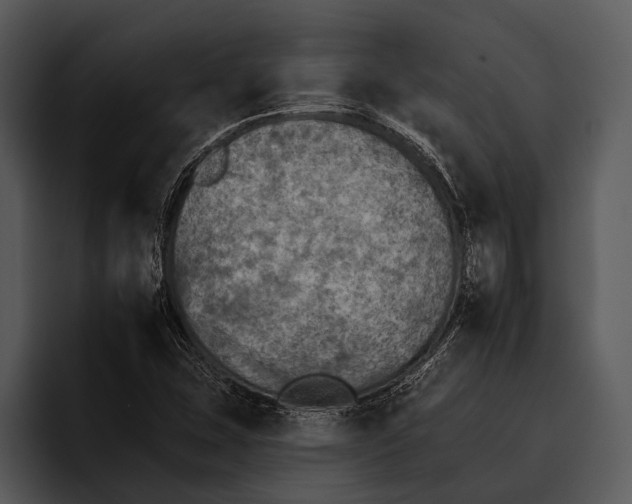 X0000095671407200801291127