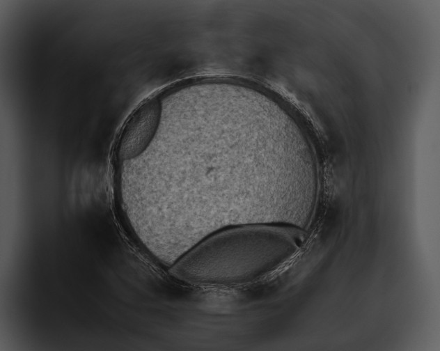 X0000095671408200801291127