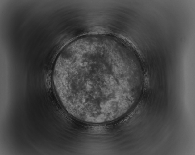 X0000095671409200801291127