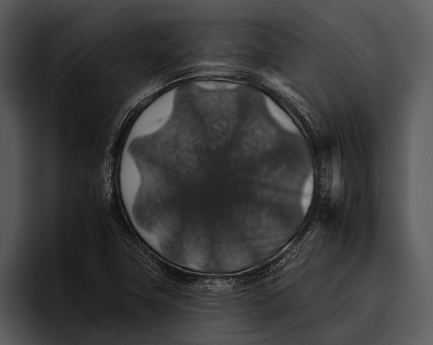 X0000095671411200801291127