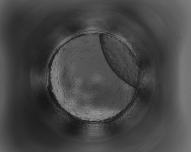 X0000095671413200801291128