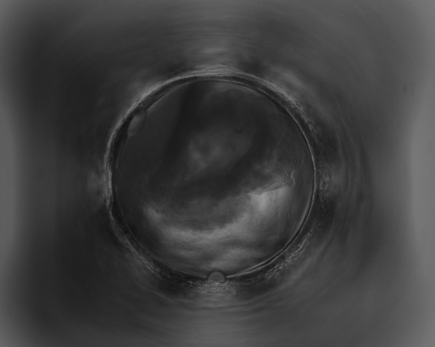 X0000095671414200801291128