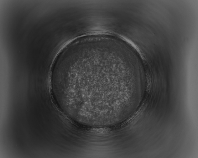 X0000095671415200801291128