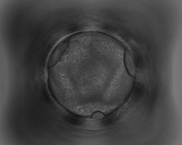 X0000095671416200801291128