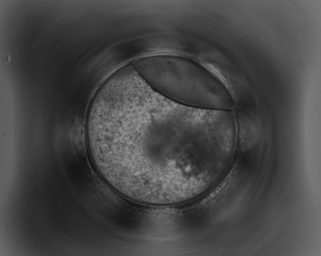 X0000095671417200801291128