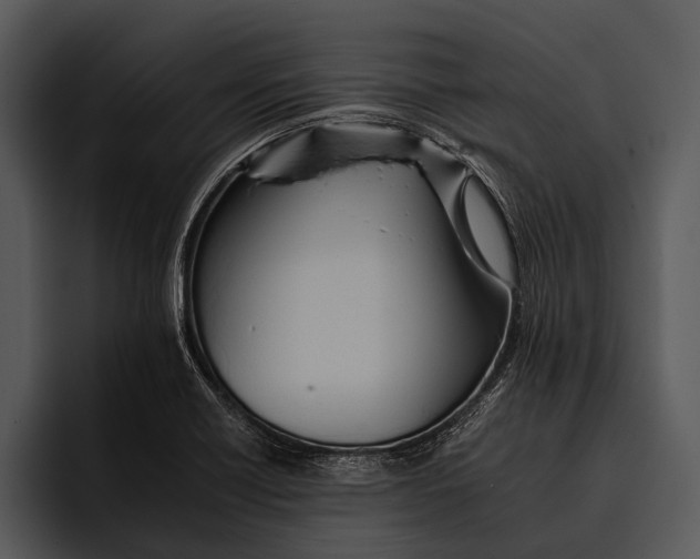 X0000095671418200801291128