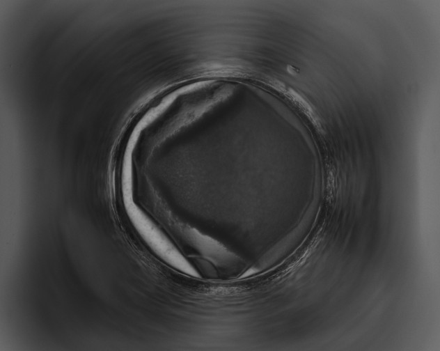 X0000095671419200801291128